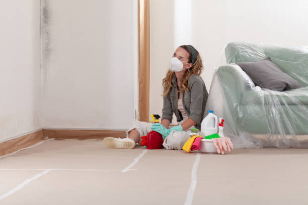 Reliable Black Mold Remediation contractor in Wake, VA by Car Mold Remediation